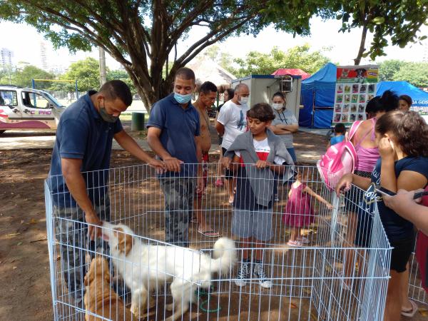 Adote um pet: confira a programação das feiras de adoção em março